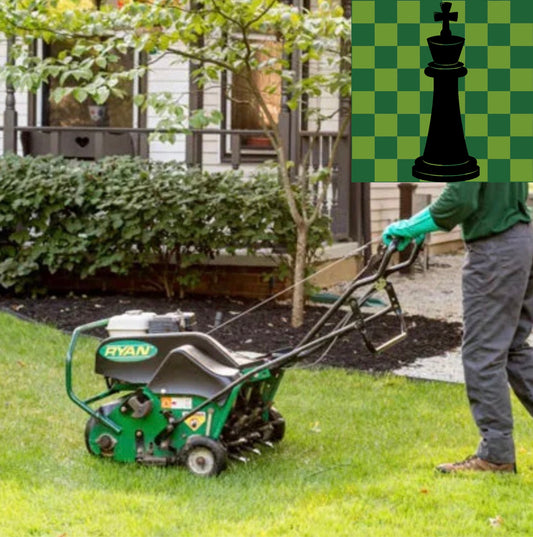 King Package (Rook + Bishop)