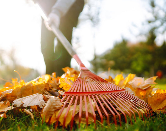 The Importance of Spring Clean-Ups!